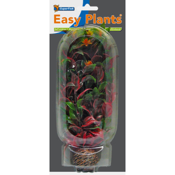 Easy Plants Middle NR6
